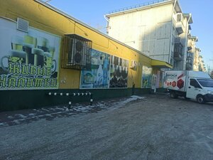 Kulomzinskaya ulitsa, 70, Omsk: photo