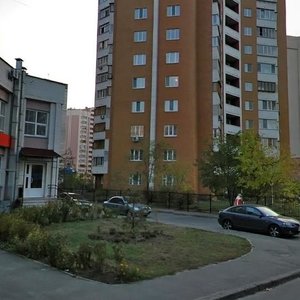 Vyshniakivska Street, 11, Kyiv: photo