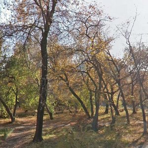 Volodarskogo Street, 57 ، : صورة