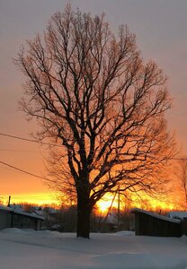 Derevnya Zhornovka, 56А, Tver Oblast: photo