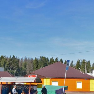 Shishkin Les Village, 31А, : foto