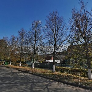 Vasilyevskaya Street, 40, Suzdal: photo