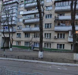 Saksahanskoho Street, 87, Kyiv: photo