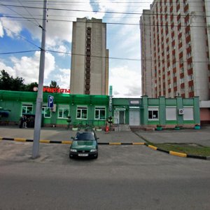 Praspiekt Kastryčnika, 95А, Gomel: photo