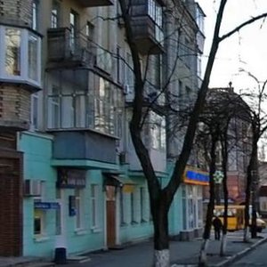 Yuriia Illienka Street, 32, Kyiv: photo