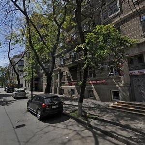 Olesia Honchara Street, 14, Kyiv: photo