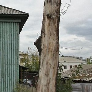 Ulitsa Pushkina, 32 ، كراسنويارسك: صورة