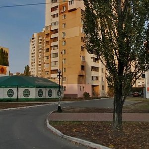 Heroiv Stalinhrada Avenue, 16В ، كييف: صورة