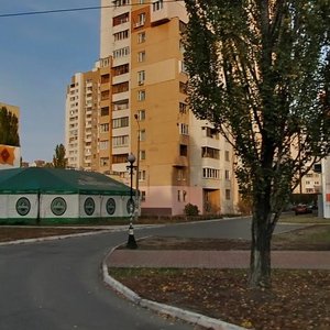 Heroiv Stalinhrada Avenue, No:16В, Kiev: Fotoğraflar