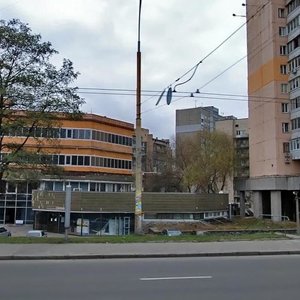 Киев, Улица Вячеслава Черновола, 12: фото