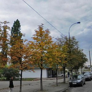 Lytvynenko-Volhemut Street, 5Г, Kyiv: photo