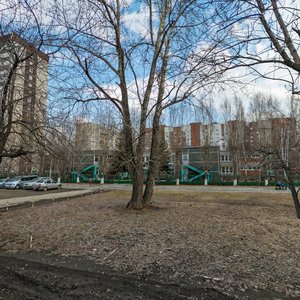 Surikova Street, 38А, Yekaterinburg: photo