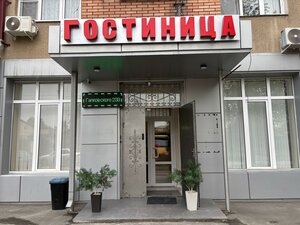 Ulitsa Galkovskogo, 233, : foto