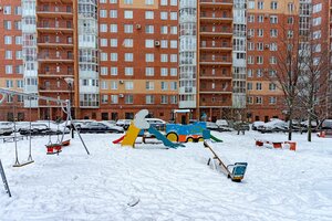 Bogatyrskiy Avenue, 55к1, Saint Petersburg: photo