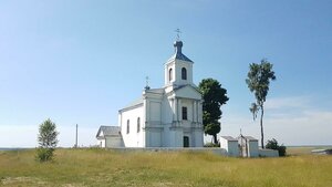 Гродненская область, Деревня Задворяне, 66: фото