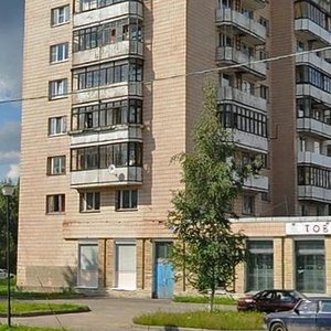 Krasnoselskoye Highway, 67, Pushkin: photo