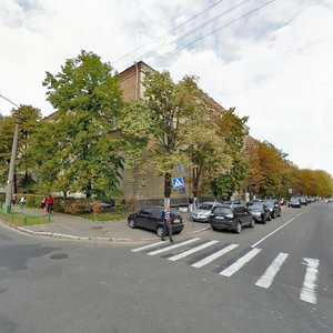Antona Tsedika Street, 16, Kyiv: photo