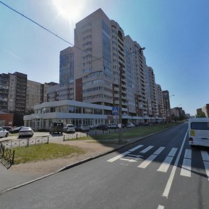 Lenskaya Street, 19к1, Saint Petersburg: photo