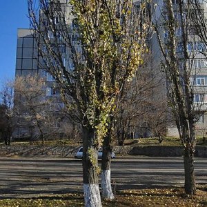 Vulytsia Nekrasova, 12, Bila Tserkva: photo