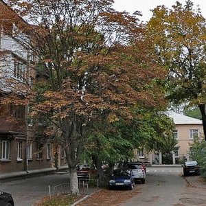 Киев, Улица Александра Пироговского, 19к7/14: фото