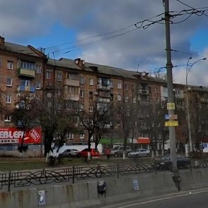 Oleny Telihy Street, 29, Kyiv: photo