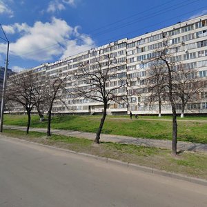 Borschahivska Street, 10, Kyiv: photo