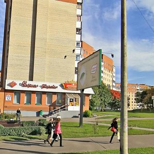 Mielnikajte Street, 12, Minsk: photo