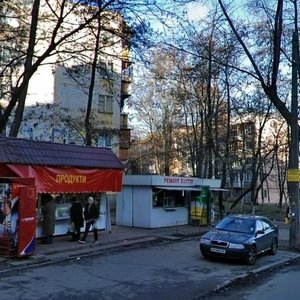 Parkovo-Syretska Street, 8, Kyiv: photo