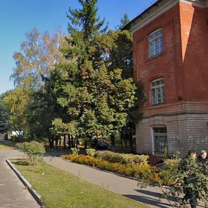 Striletska vulytsia, 1, Chernihiv: photo