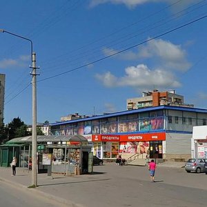 Красное Село, Красногородская улица, 17: фото