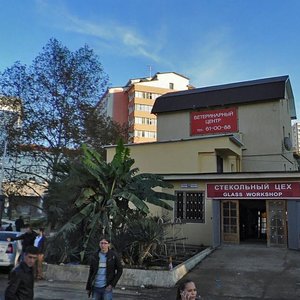 Tuapsinskaya Street, 7Б, Sochi: photo