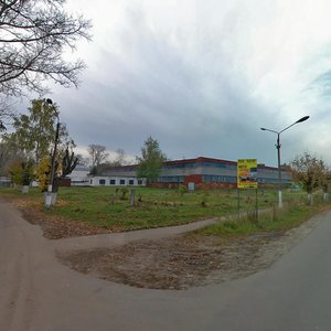 Lapina Street, 58, : foto