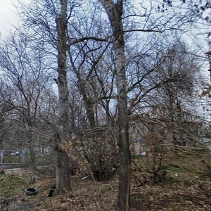 Priupskaya Street, 1А, Tula: photo