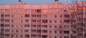 Miendzialiejeva Street, 25, : foto