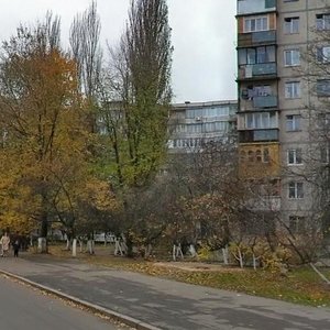 Ushynskoho Street, 26, Kyiv: photo