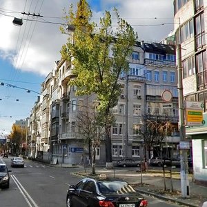 Sichovykh Striltsiv Street, 40/1, Kyiv: photo