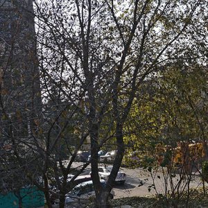 Kuznechnaya ulitsa, 2 ، : صورة
