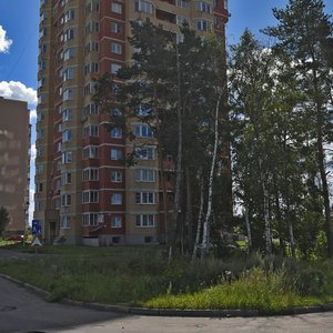 Tsentralnaya ulitsa, 24, Chernogolovka: photo