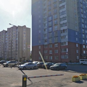 Alibiegava Street, 10, Minsk: photo