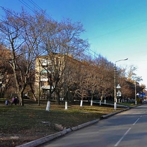 Frunze Street, 16, Tula: photo