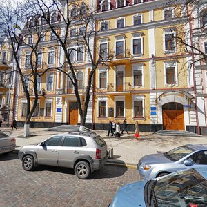 Volodymyrska Street, 30, Kyiv: photo