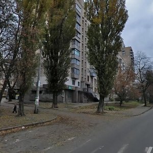 Stadionna Street, 13, Kyiv: photo