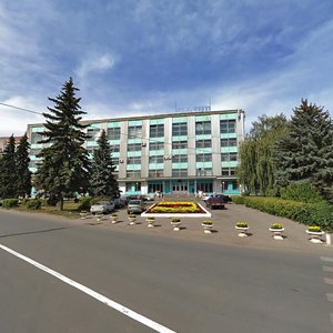 Karakozova Street, 44, Penza: photo