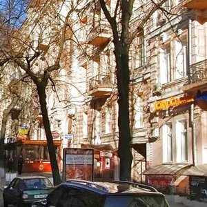 Pushkinska Street, 11, Kyiv: photo