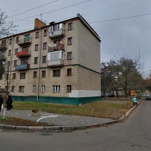 Киев, Тополёвая улица, 7/6: фото