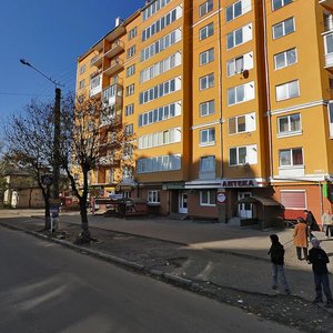 Vovchynetska vulytsia, 167, Ivano‑Frankivsk: photo