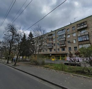 Vyshhorodska Street, 46, Kyiv: photo