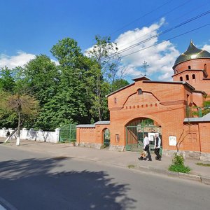 Zamostianska vulytsia, No:49, Vinica: Fotoğraflar