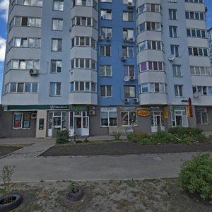 Oleny Pchilky Street, 6, Kyiv: photo