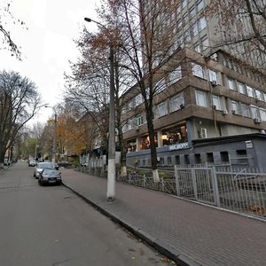 Turgenievska Street, 8, : foto